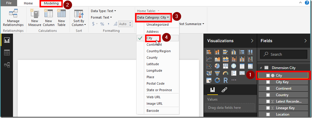Power BI Desktop Data Category