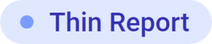 Thin Report icon in Power BI Documenter