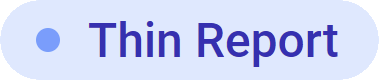 Thin Report icon in Power BI Documenter