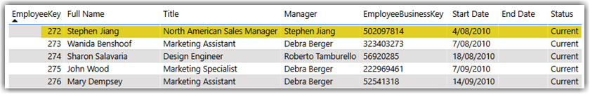 SCD in Power BI, The employee data before Stephen was promoted