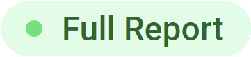 Full Report icon in Power BI Documenter