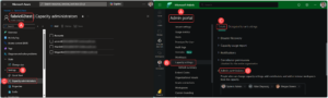 Fabric Capacity Admins on Azure Portal and Fabric Admin Portal