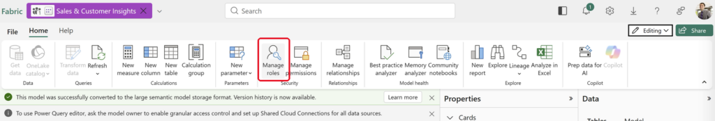 Semantic model editing ribbon with Manage roles highlighted